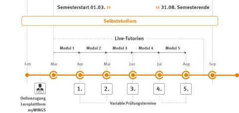 Ablaufplan Bachelor Gesundheitsmanagement